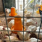 La Peppina * Massa Lubrense