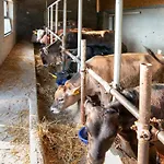 La Peppina Bauernhof